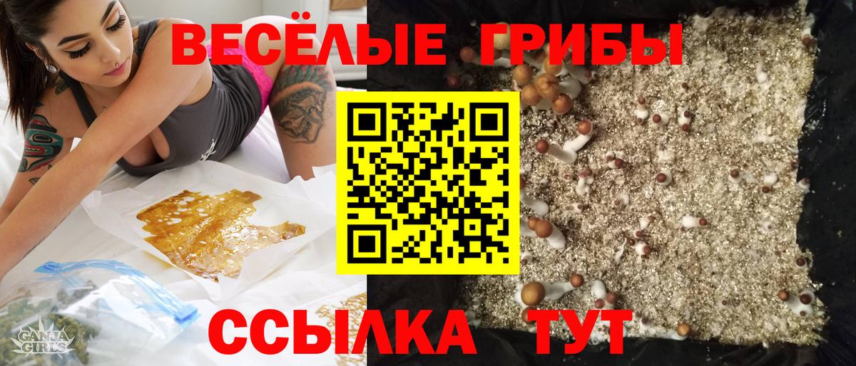 Галлюциногенные грибы Cubensis  Вход с VPN  Костомукша  Галлюциногенные грибы прущие грибы 
